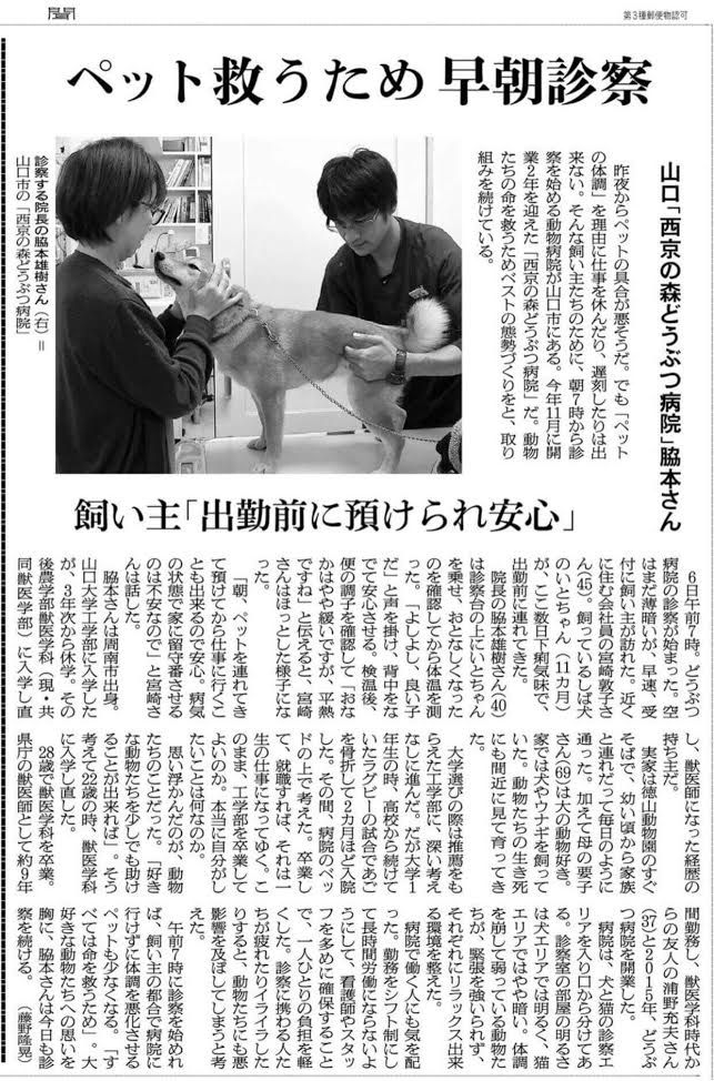ペットを救う早朝診察で山口新聞に紹介されました（2017年12月8日）