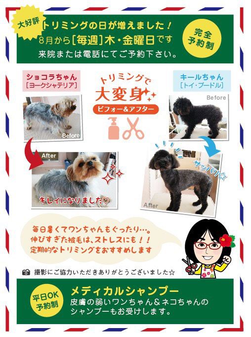 山口県山口市メディカルシャンプー・山口県山口市メディカルカット 西京の森どうぶつ病院 山口県山口市メディカルシャンプー・山口県山口市メディカルカット 西京の森どうぶつ病院